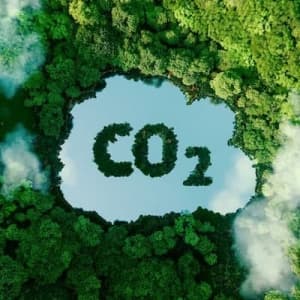 Sustainability