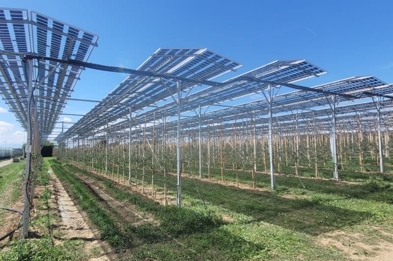 Agro photovoltaic